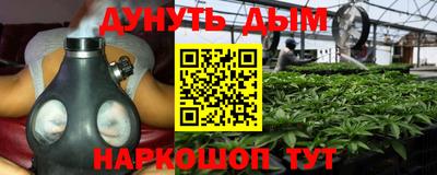 шишки Обнинск